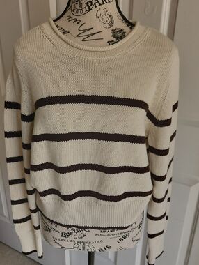 NWT Gap 100% Cotton Brown Stripe Sweater SZ LP